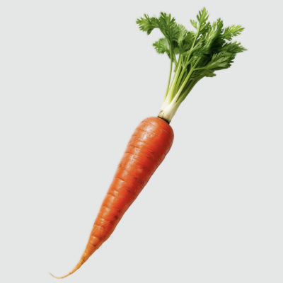 Carrot - Orange